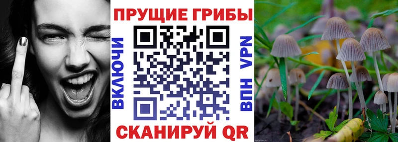 Псилоцибиновые грибы мухоморы Елабуга