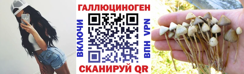 даркнет сайт  Елабуга  Галлюциногенные грибы GOLDEN TEACHER 